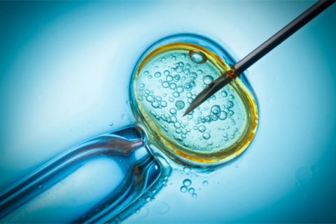 http://hefei.qqkaixin.com/post/199.html|合肥供卵助孕